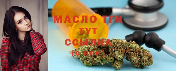 крисы Богородицк