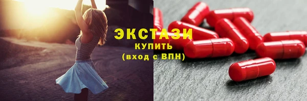крисы Богородицк