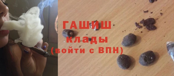 крисы Богородицк