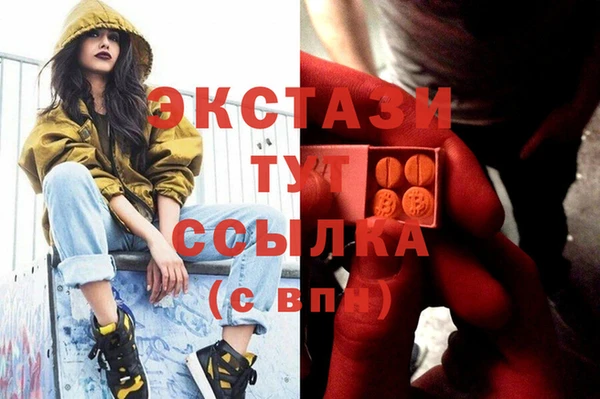 крисы Богородицк