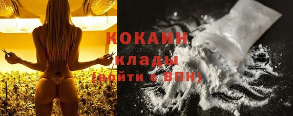 крисы Богородицк