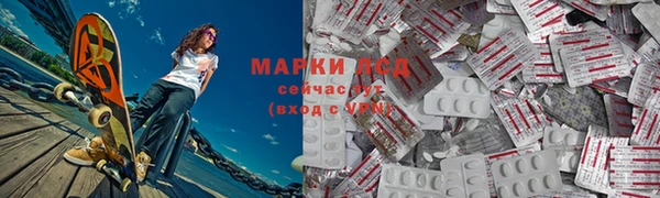 крисы Богородицк
