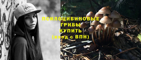 крисы Богородицк
