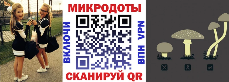 Галлюциногенные грибы Cubensis  закладка  Воркута 